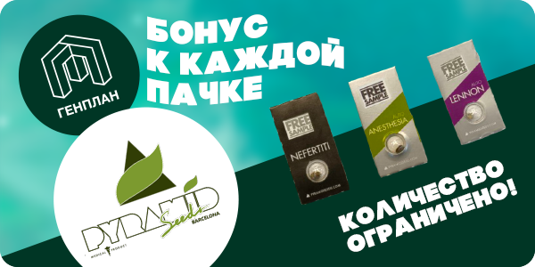 Бонусы к каждой пачке Pyramid Seeds!