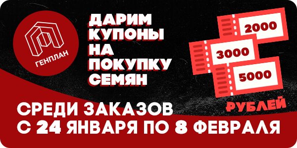 Розыгрыш купонов на покупку семян!